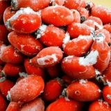 Kako pravilno i koliko možete čuvati šipak kod kuće